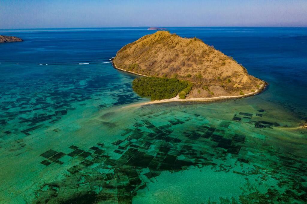 Beach-Front Sumbawa Surf House Lemonga Экстерьер фото